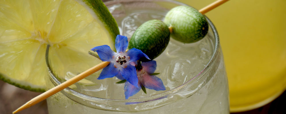 Sunny Point Café Scores Runner Up Position at ELIXIR