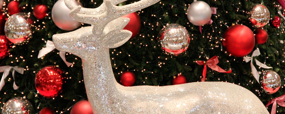 Vote for Your Favorites in the West Asheville Holiday Window Decorating Contest