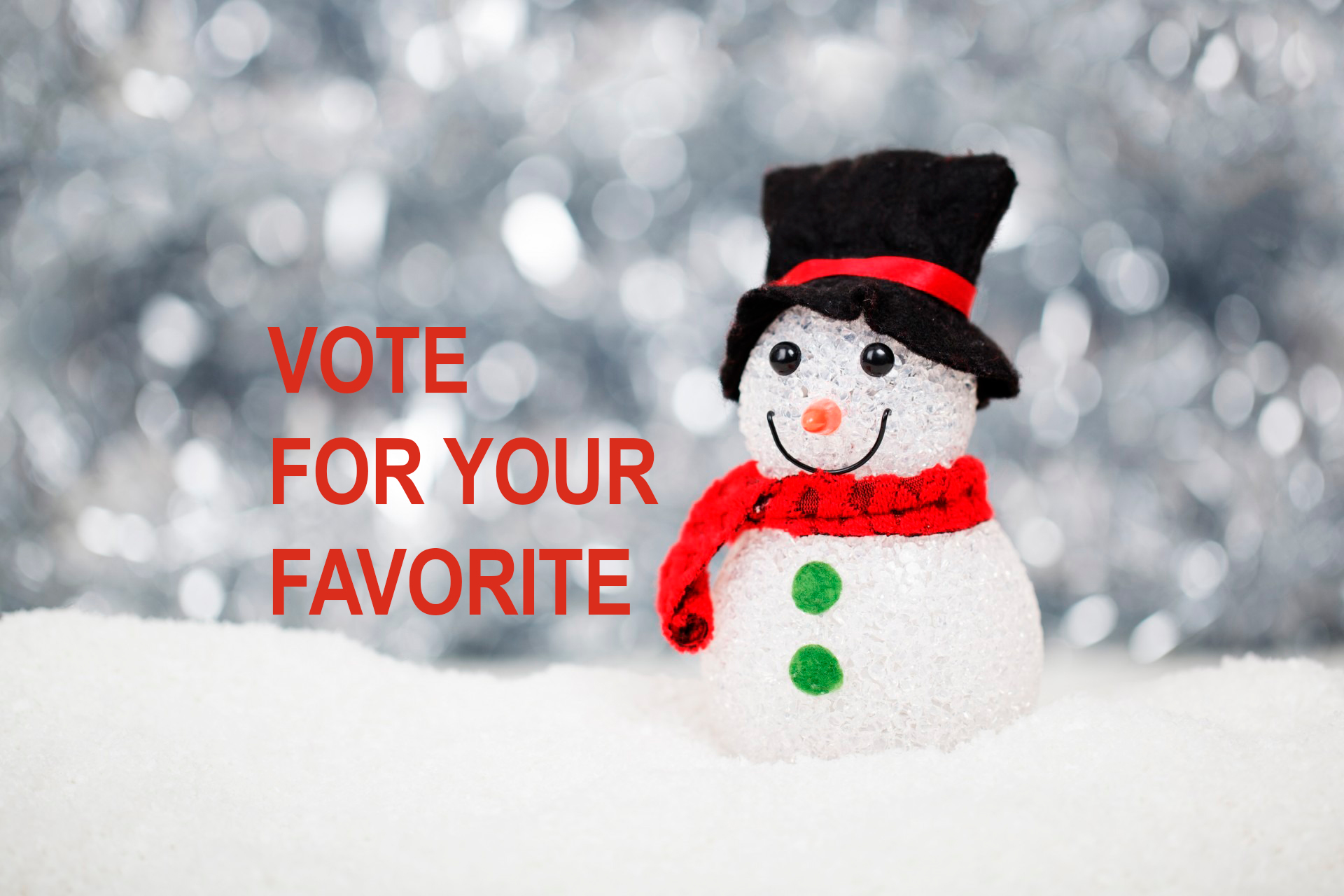 VOTE for Your Favorite West Asheville Holiday Windows