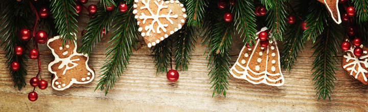 Holiday Party: December 9, 2018