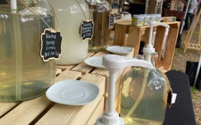 Ecolibrium, a new kind of West Asheville Biz