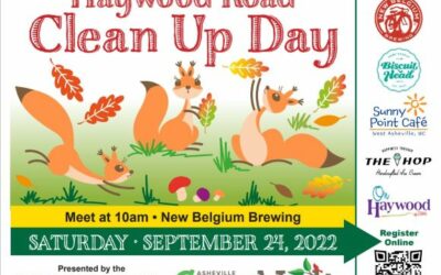 Haywood Road Clean-up