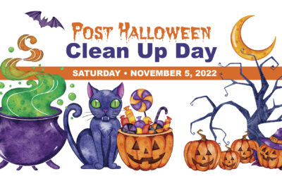 Haywood Road Clean-up